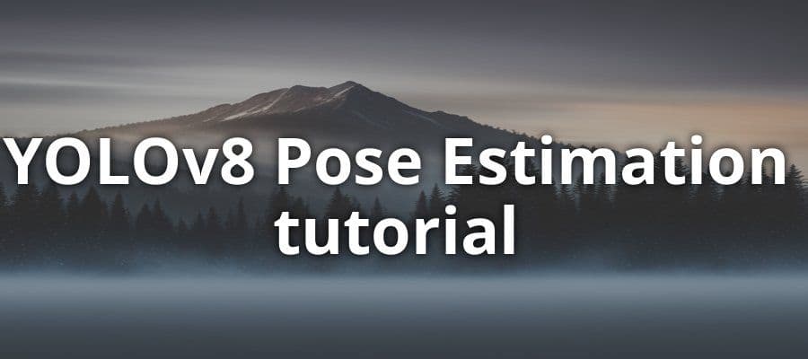 YoloV8 Pose Estimation Tutorial