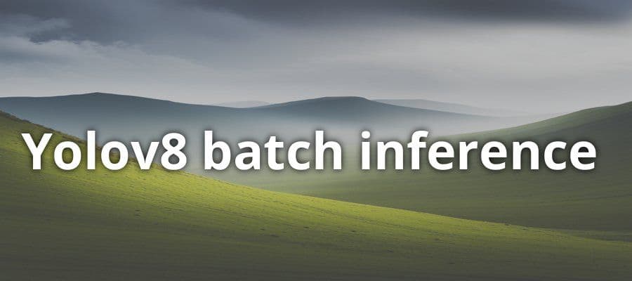YOLOv8 Batch Inference: Speed & Efficiency